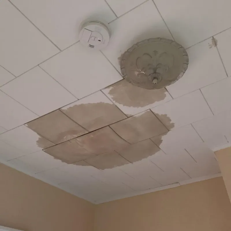 Ceiling Water Damage Repair in Forest County, PA